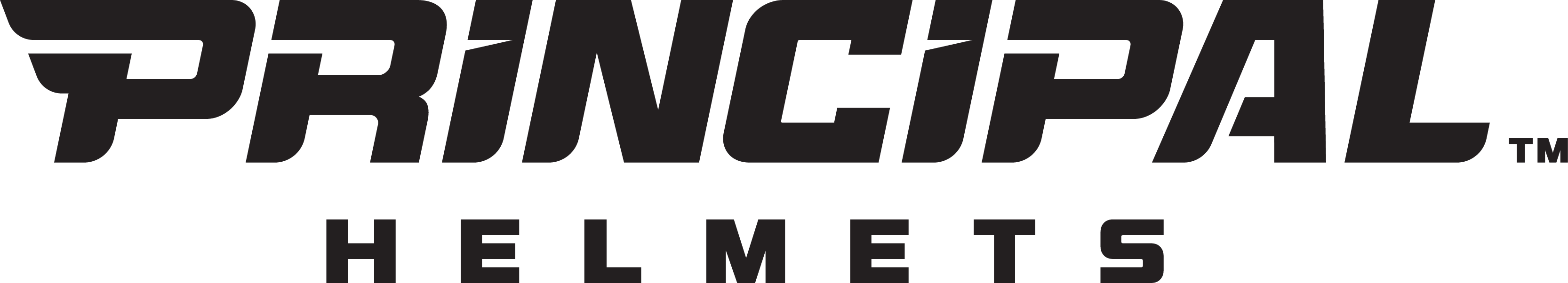 Principal Helmets